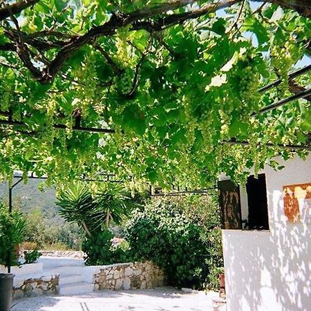 ترولو Villa Elpiniki المظهر الخارجي الصورة