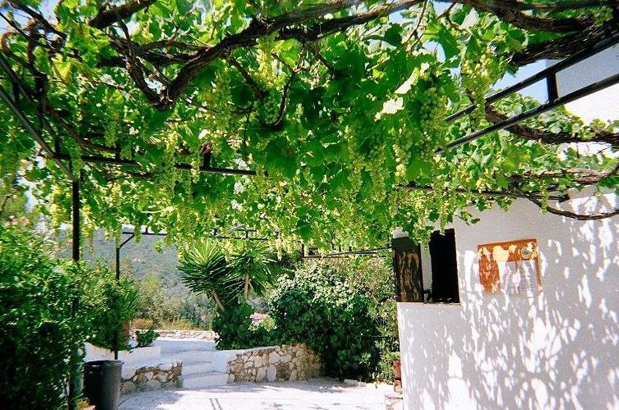 ترولو Villa Elpiniki المظهر الخارجي الصورة